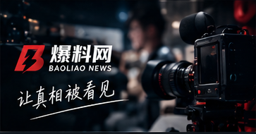 爆料网品牌概览